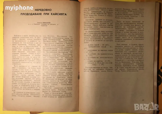 Стара Книга Лот от 7 поредни книжки Овощарство 1980 г., снимка 7 - Списания и комикси - 49203884