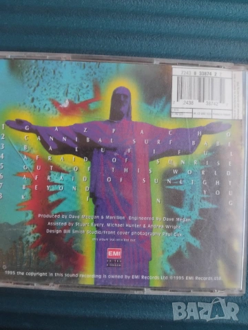 Marillion – Afraid Of Sunlight - матричен диск музика, снимка 2 - CD дискове - 54101936