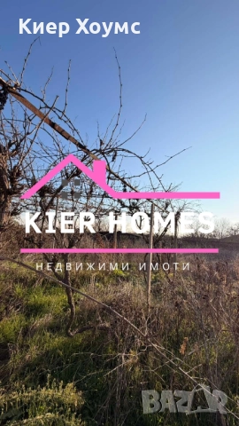 Къща в село Странско обл.Хасково, снимка 3 - Къщи - 52803538