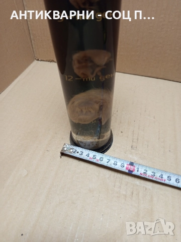 Стар Образователен Модел Ембрионалното Развитие На Домашна Птица. , снимка 4 - Антикварни и старинни предмети - 52930792