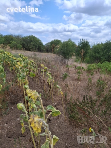 Парцел с.Метличина , снимка 2 - Парцели - 52245847