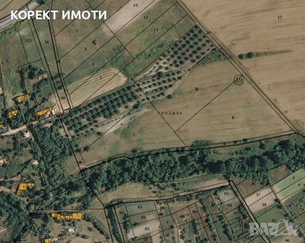 Продава орехова градина в село Избул, общ. Нови Пазар