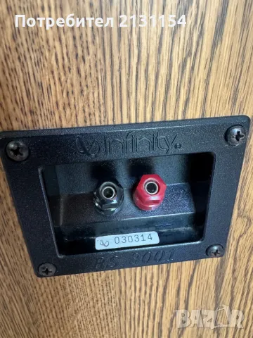 Infinity RS 3001, снимка 6 - Тонколони - 50292133