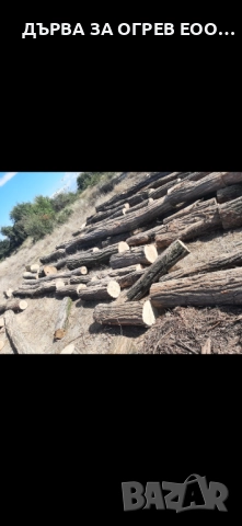 предлагам дърва за огрев метровки акация салкъм дървата са едри едри доставям до адрес 95лв 08959774