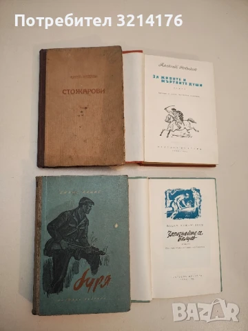 Буря - Вилис Лацис