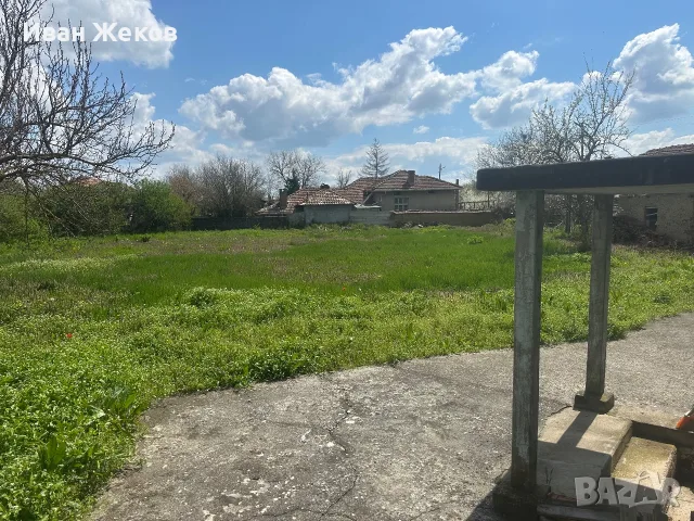 Премахване на опасни дървета, косене и почистване, снимка 14 - Други услуги - 56253885