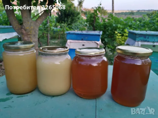 продавам пчелен мед