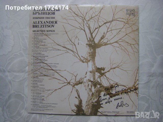 ВТА 11206 - Александър Бръзицов - Избрани песни, снимка 4 - Грамофонни плочи - 31558024