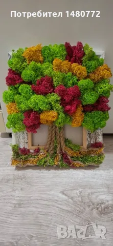 Дървото на живота със скандинавски мъх в рамка