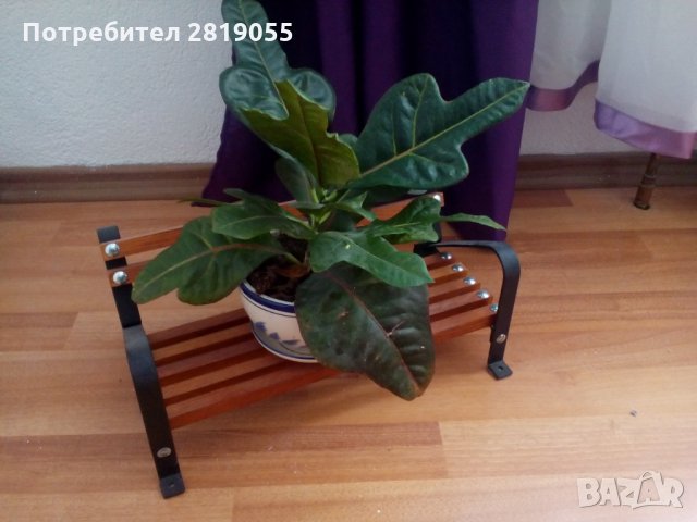 Цветарник - тип градинска пейка, снимка 5 - Други - 30194653