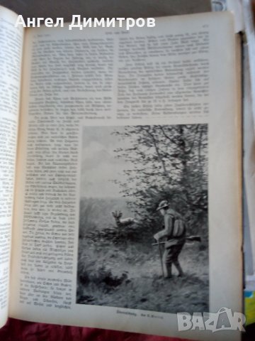   Wid and hund немско ловджийско списание 1930 - 1937 г, снимка 13 - Антикварни и старинни предмети - 37319252
