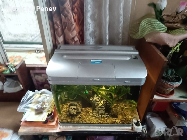 Аквариум , снимка 4 - Оборудване за аквариуми - 51778505