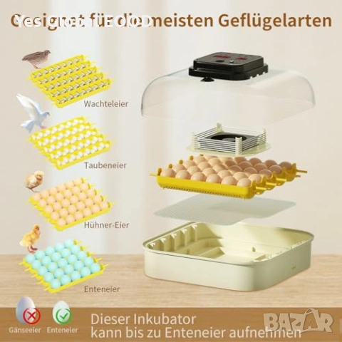 Инкубатор за 30 яйца Chalixion автоматичен, снимка 7 - Други стоки за животни - 54223333