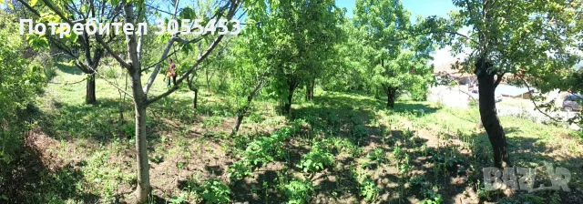 Имот в регулация в с.Паволче 600м2 до главен път