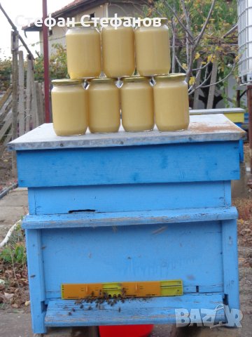 Пчелен КРЕМ мед, снимка 1