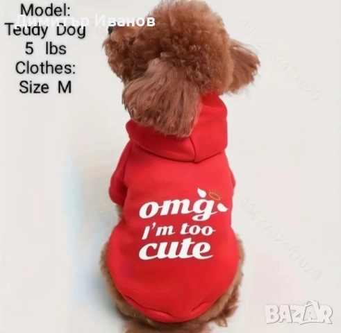 Модерни дрехи за кучета: Суичъри (Худита) с надписи, Пуловер (S, M), снимка 2 - За кучета - 52574572