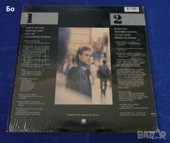 грамофонни плочи Styx, снимка 11 - Грамофонни плочи - 30522651