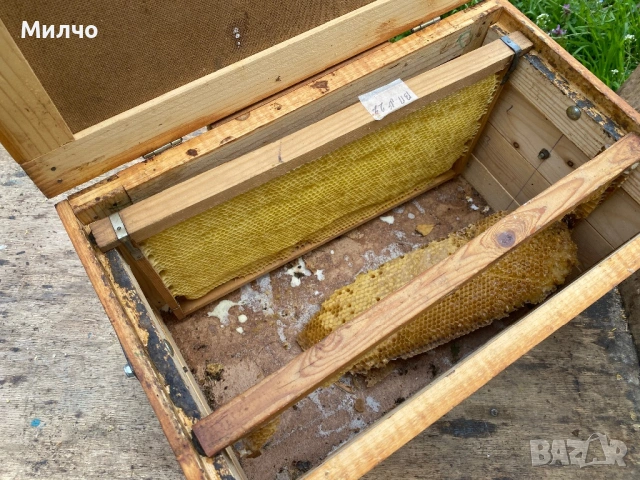 Магазини с изградени рамки, пчеларски, снимка 5 - Други - 50318111