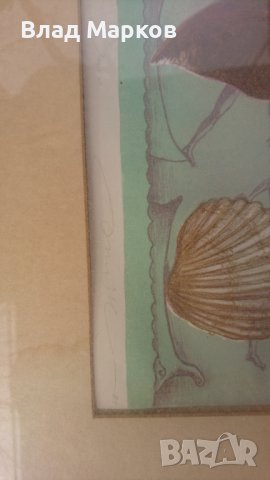 Лодката на Ной! О.Каранфилян , снимка 6 - Колекции - 39102227