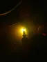 Комплект 2бр. Led Крушки H1, 3000k Топло - бяла светлина - жълта, снимка 5