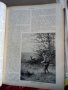   Wid and hund немско ловджийско списание 1930 - 1937 г, снимка 13