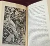 Witches. The History of a Persecution, снимка 3