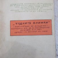 Книга "Пиратско гнѣздо - Павелъ Витошки" - 18 стр., снимка 6 - Художествена литература - 33834041