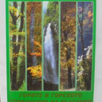 Книга Горите и горското стопанство на България - Иван Костов и др., снимка 1 - Други - 37342668
