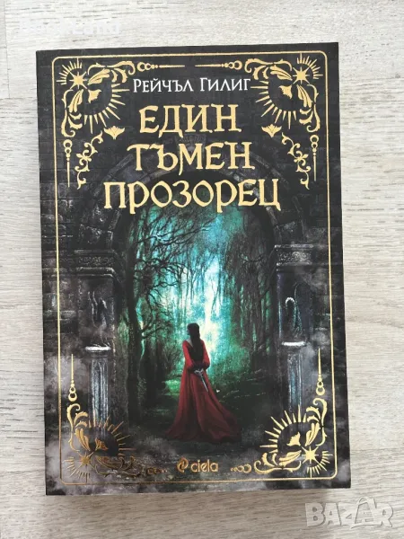 Един тъмен прозорец, Рейчъл Гилиг , снимка 1