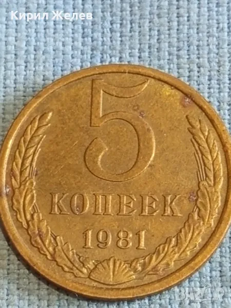 Стара монета 5 копейки 1981г. СССР рядка за КОЛЕКЦИЯ ДЕКОРАЦИЯ 39560, снимка 1