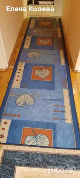 Дълга синя пътека, снимка 1