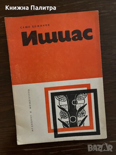 Ишиас- Сашо Божинов, снимка 1