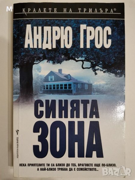 Синята зона, Андрю Грос, снимка 1