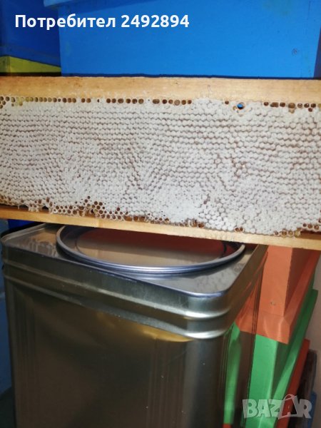 Акациев биологичен мед, в наличност имам 35бр. тенекий, снимка 1