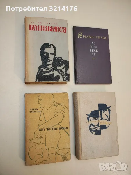 Fatherless Sons - Dyson Carter, снимка 1