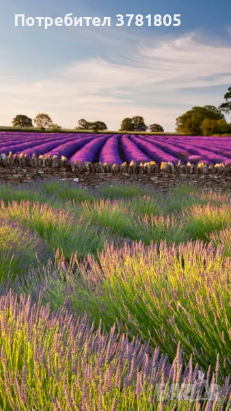 Продавам земеделска земя , снимка 1
