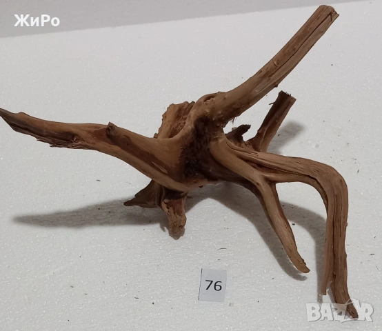 Корен от Азалия /декорация/ 76