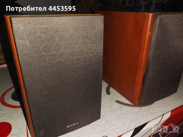SONY SS-CCPX11, снимка 3 - Тонколони - 52654759