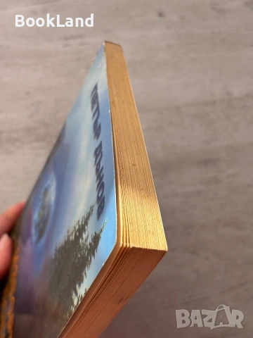 Изворът на доброто – Петър Дънов, снимка 4 - Други - 53200299