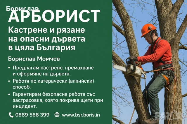 Арборист – Борислав Момчев. Рязане и кастрене на всякакви дървета Безопасно!!!, снимка 3 - Дърводелски услуги - 52311426