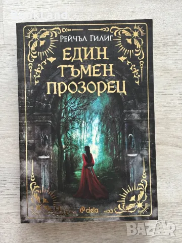 Един тъмен прозорец, Рейчъл Гилиг , снимка 1