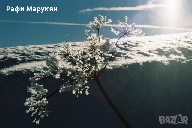 SLR "MINOLTA XG-M"  филмов, здрав, стабилен и сигурен, снимка 6 - Фотоапарати - 54035689