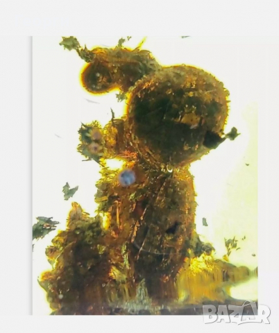 Мексикански кехлибар със запазен термит в него., снимка 2 - Други ценни предмети - 36572237