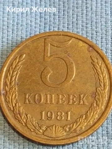 Стара монета 5 копейки 1981г. СССР рядка за КОЛЕКЦИЯ ДЕКОРАЦИЯ 39560