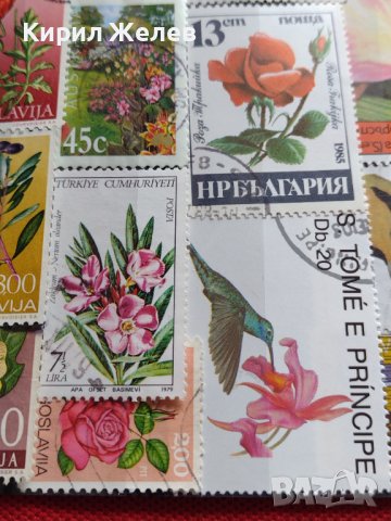 Пощенски марки серия ЦВЕТЯ поща България, Югославия редки за КОЛЕКЦИЯ 22659, снимка 8 - Филателия - 40316538