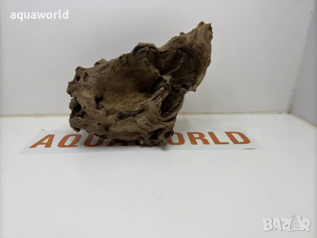 Мангров корен 66