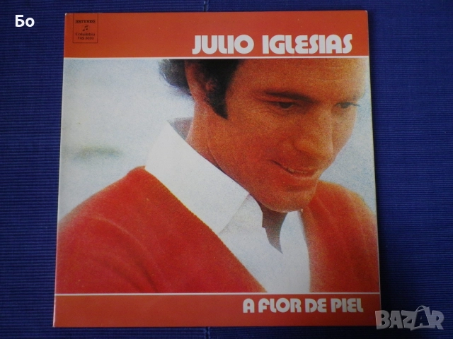 грамофонни плочи Julio Iglesias, снимка 4 - Грамофонни плочи - 41393371