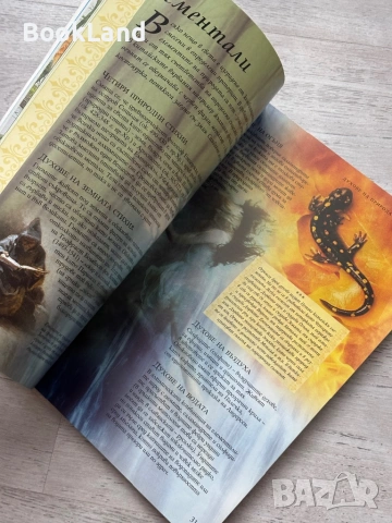 Енциклопедия Фентъзи – Джуди Алън, Фют , снимка 15 - Детски книжки - 53295584