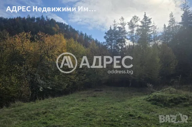 Заведение/Ресторант, продажба, Смилян, снимка 16 - Заведения - 55787471
