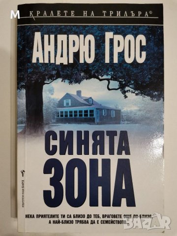 Синята зона, Андрю Грос, снимка 1 - Художествена литература - 31134571